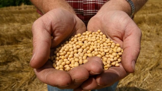 Soy Canada, a farming/marketing advocacy association wants the EU to explain a delay in EU approval for 3 GM soy products.