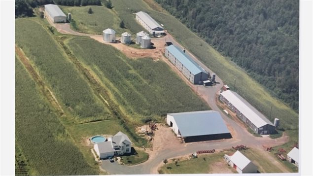 Journée mondiale de l’agriculture  quel rendement pour le Canada