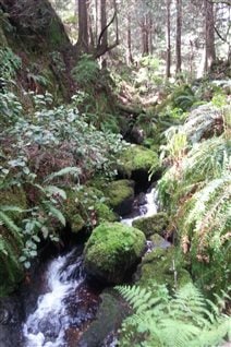 Brooks and rivers are some of the useful, natural assets being catalogued by the town of Gibsons.