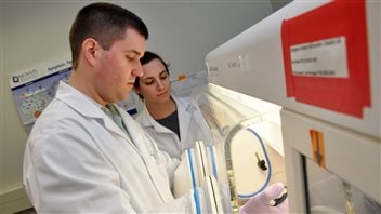 Professor James Uniacke and PhD candidate Sara Timpano conducting cell biology experiments ad the much lower *physiological* oxygen levels experienced by cells in the body as opposed to most experiments historically conducted at atmospheric levels of oxygen.