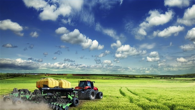 L'agriculture, un secteur essentiel de l'économie canadienne L'agriculture, un secteur essentiel de l'économie canadienne