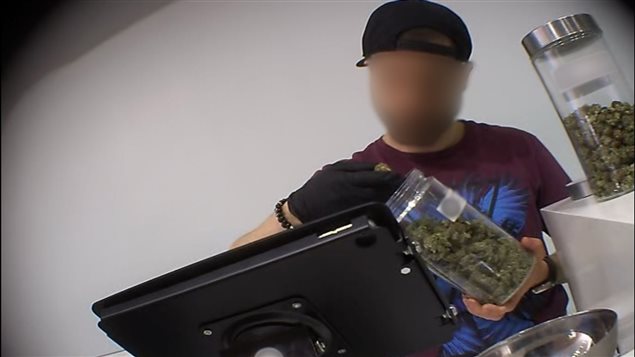 Empleado de un lugar de venta ilegal de marihuana en Toronto.