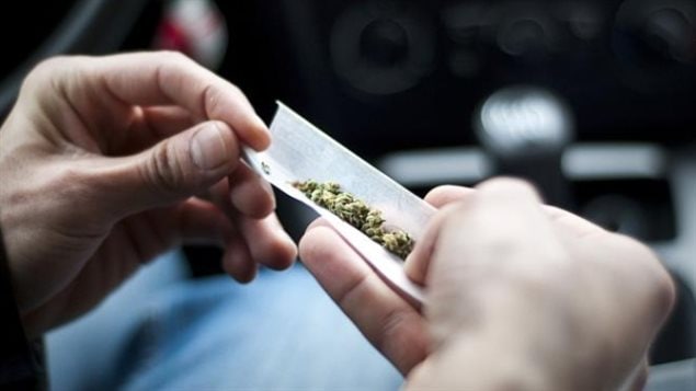 More than half of marijuana users say the drug does not impair their driving.