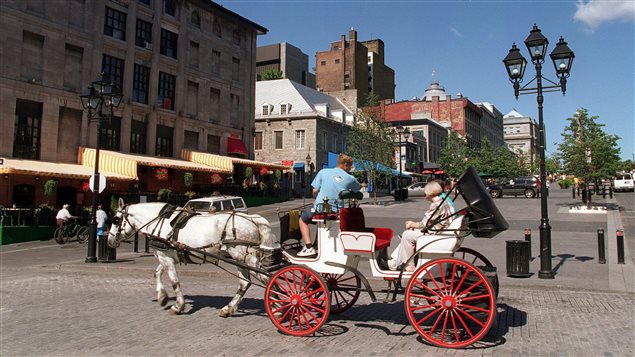  Horse-drawn carriages, or caleches as they are known in French, have been a fixture on the streets of in Old Montreal for centuries. But animal rights activists say it’s time for them to go.