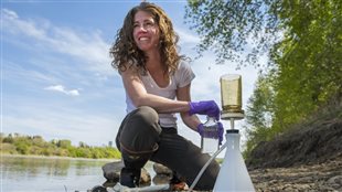 Suzanne Tank (PhD) assistant professor at the University of Alberta discovered carbon levels have been rising dramatically in the Mackenzie River