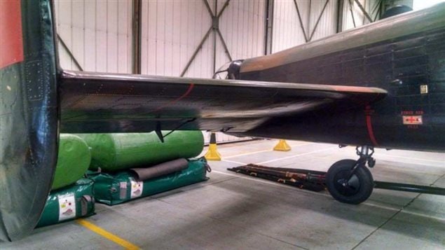The horizontal stabilizers to be exchanged are the *flaps* on the tail wing section.