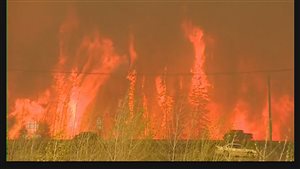 Vehicles trying to escape the massive wall of lames at Fort McMurray in Alberta. The inferno is just one of many fires now buring across Canada. Wildfire expert Mike Flannigan says scientists in that field and others say AGW means more and bigger fires in future.
