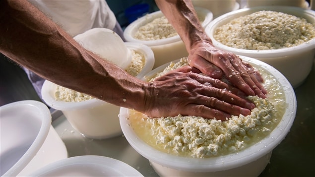 Un homme s'adonne à la confection de fromage. Un homme s'adonne à la confection de fromage.