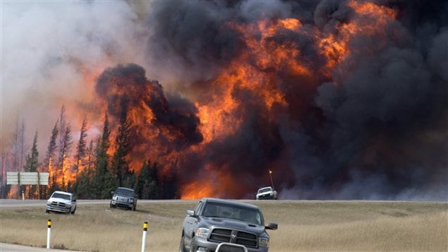 Over 80,000 people were forced to flee Fort McMurray early this month. We see four cars coming across brown fields while behind them black and yellow flames climb to the sky.