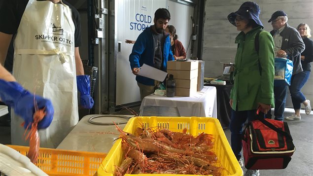 Des consommateurs achètent des crevettes tachetées du Pacifique fraîchement pêchées Des consommateurs achètent des crevettes tachetées du Pacifique fraîchement pêchées