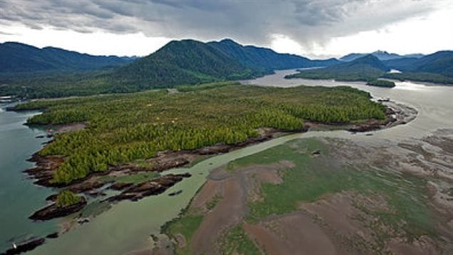 Besides concern over gas emissions, there is worry the proposed project would be near the second largest salmon river in the western province of British Columbia.