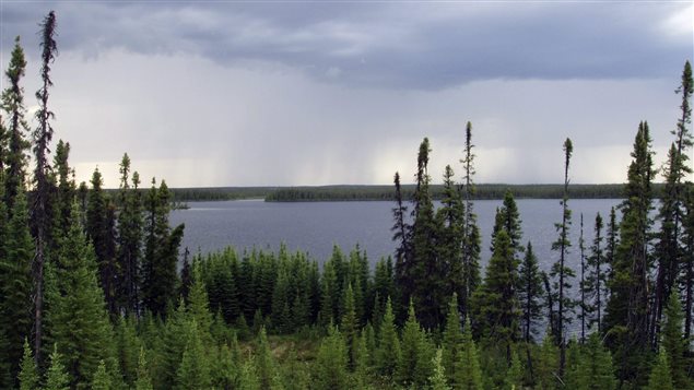  In this undated photo provided by the International Boreal Conservation Campaign, the Boreal Forest is seen in central Quebec.