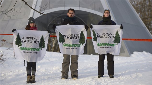  Members of Greenpeace protest in front of the cross atop Mount Royal in Montreal early Tuesday morning, March 18, 2014 to bring attention to boreal forest logging.