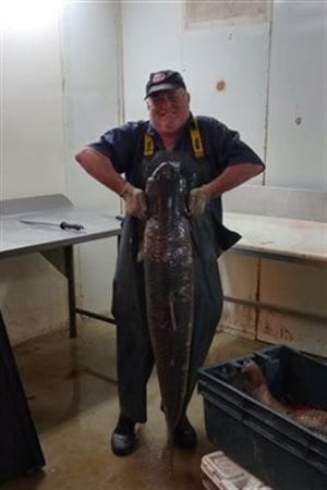 The huge grass carp is the first of the invasive fish caught in the St Lawrence., Over a metre long and wieghing 29 kilos, the carp poses a serious threat to native species