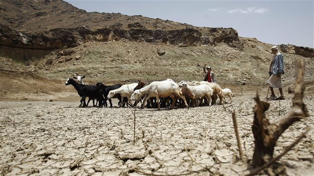 Yemen suffered a serious drought in June 2014 at the beginning of what traditionally is the wet season. Droughts have increased in Africa and elsewhere leading to desertification.