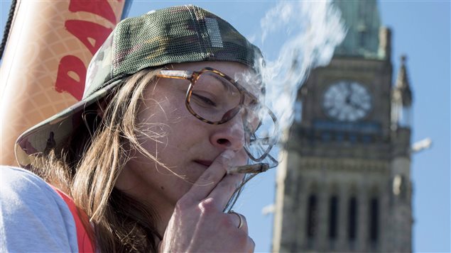 4.20大麻日。