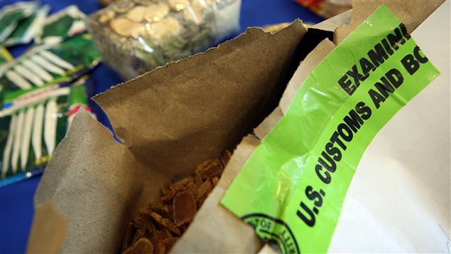 De la nourriture confisquée par des agents frontaliers américains De la nourriture confisquée par des agents frontaliers américains