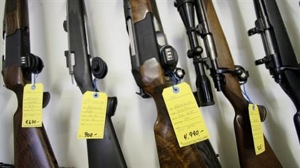 The mostly French-speaking province of Quebec voted to create its own provincial long-gun registry after the federal government voted to scrap the national registry as costly and ineffective.