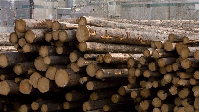 Permettre à l'industrie du bois d’oeuvre canadien d'aller à la conquête de nouveaux débouchés
