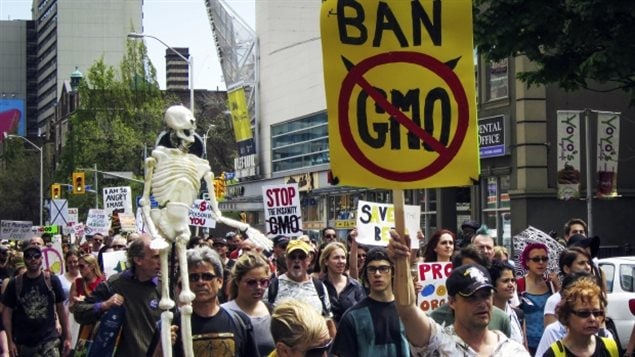 Protesters in the ’March Against Monsanto’ in Toronto, May 24, 2014, express concern about genetically modified organisms (GMOs). 