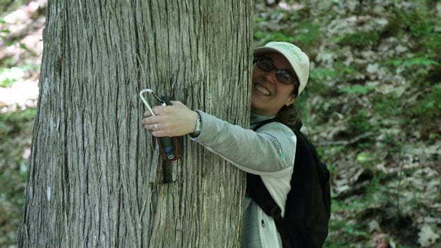 Paula Noel lauds this largest conservation project in this history of New Brunswick province.