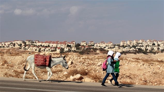 Des écolières palestiniennes marchent près d’une colonie israélienne en Cisjordanie.