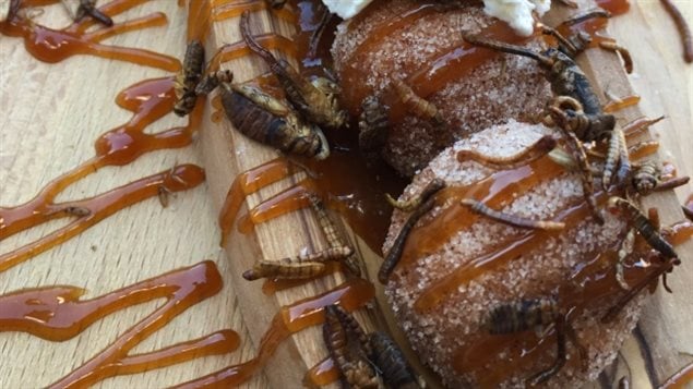 Pour les plus curieux : Boules collantes de punaises au caramel, des boules de pâte frite saupoudrées de cannelle et de sucre, glacées à la sauce caramel et garnies de dattes medjool hachées, de crème fouettée et de vers de farine et de grillons.