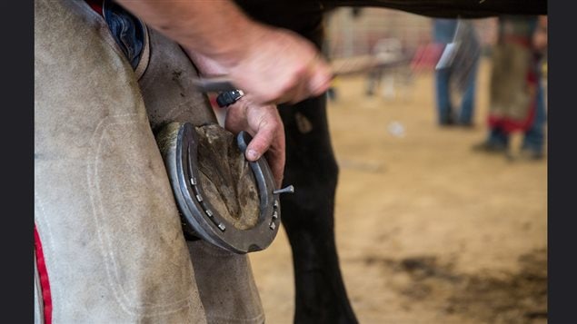 There are many demonstrations of traditional western skills like horseshoeing.
