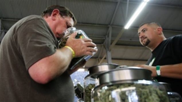 一位用大麻作为镇痛药物的患者在洛杉矶选购大麻
