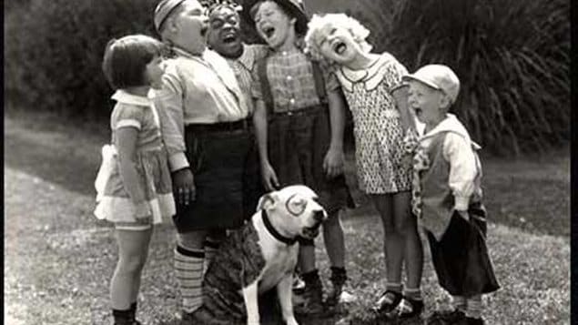 Many of the Petey, or Pete the pup, dogs seen in most of the Our Gang/Little Rascals comedy films in the late 1920 and through the 1930’s was a pit bull