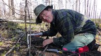 Jill Johnstone, PhD, associate professor in the Department of Biology at University of Saskatchewan, is working with a team to research how fire changes the landscape of boreal forests in Northern Saskatchewan
