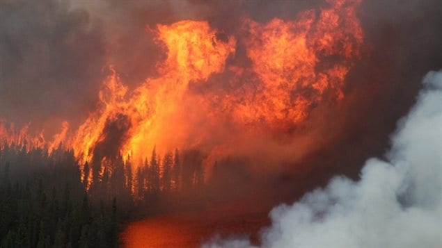 With climate change, experts predict more and bigger forest fires in Canada’s boreal forest. For example there have been 365 fires in Ontario so far this year compared to 340 at this time last year