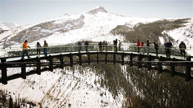 Des touristes visitent la promenade Glacier Skywalk située dans le parc national de Jasper.