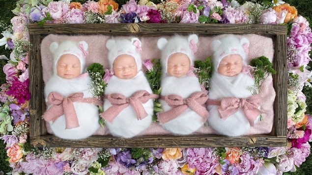Quatre bébés dans un panier entouré de fleurs