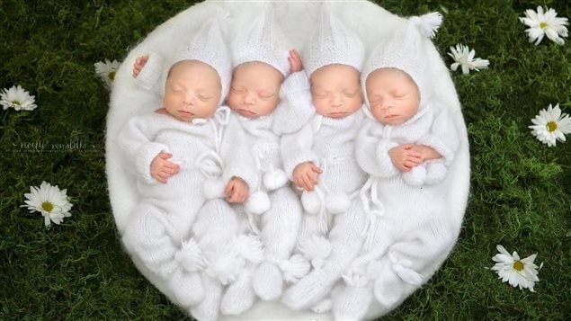Quatre bébés habillés en blanc sur l’herbe et entourés de marguerites 