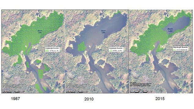 Three images of the Little Port Joli estuary and Basin Lake- showing eel grass extent before the green crab arrived, after they arrived, and in 2015 as the capture and removal programme had begun.
