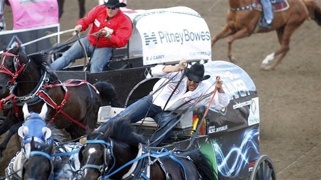 Chuckwagon racing is one of the more dangerous events at the Calgary Stampede.