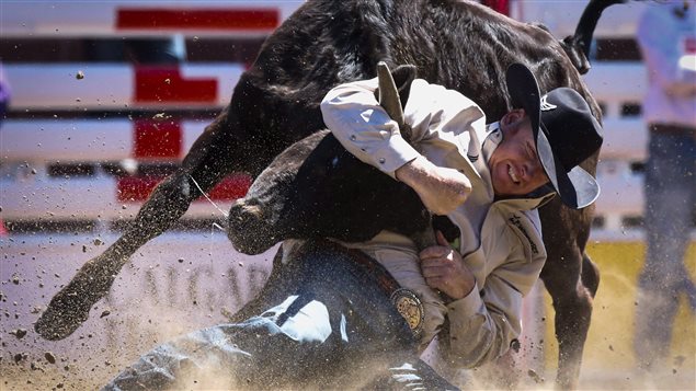 Steer-wrestling is another event.