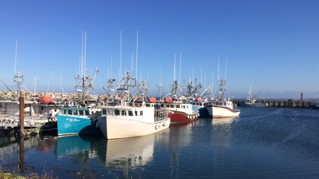 Port de pêche
