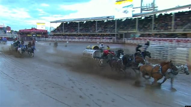 the GMC Rangeland Derby (chuck wagon races) final was as exciting as ever, and muddy! 