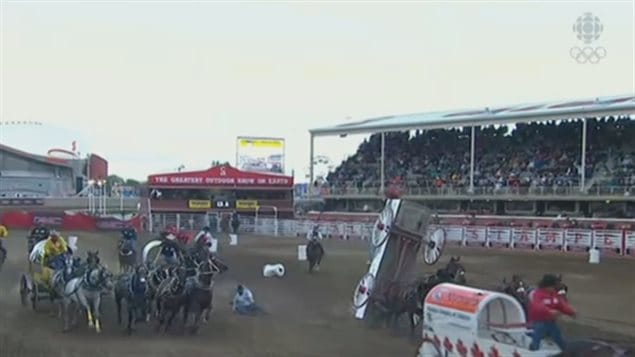 A wagon hits a barrel and flips in an early heat race. Often criticized for the danger it poses to the animals, neither horse nor driver suffered a scratch in the spectacular accident. The Stampede introduced a number of safety changes and inspections after four horses were killed last year.