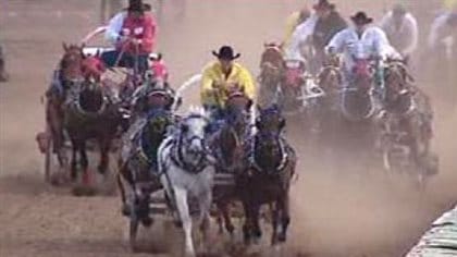 A horse had to be euthanized after it broke a leg during this chuckwagon race in 2009. We see three chuckwagons bunched up as they approach a turn on the track. Dust flies out behind the wagons that are driven by men wearing black cowboy hats.