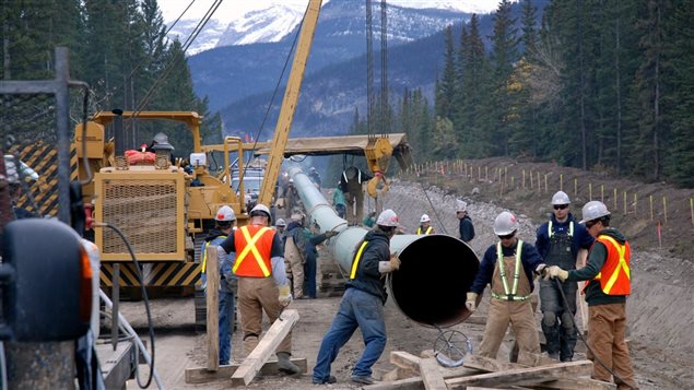Des travailleurs installent un grand pipeline dans une forêt avec des montagnes en arrière-plan. 