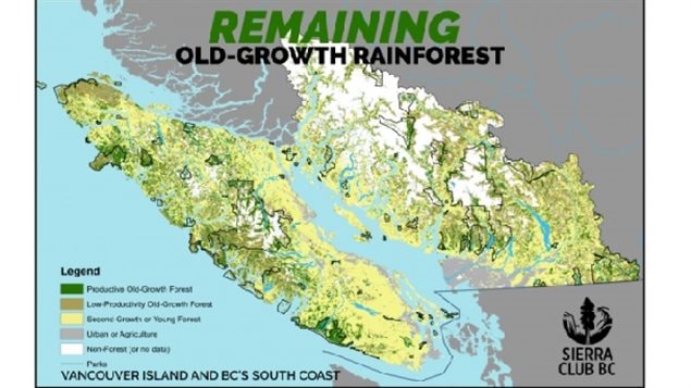 Current state with only a miniscule fraction of old growth left in isolated non-connected patches. The Sierra Club says in spite of that, old growth logging has increased in recent years.