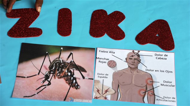 Une affiche sur le virus Zika réalisée par un étudiant hondurien