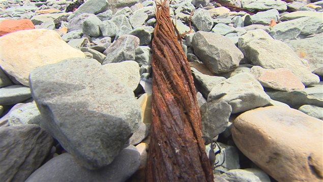 Parte del cable de 150 años de antigüedad, aún visible en las costas de Terranova.