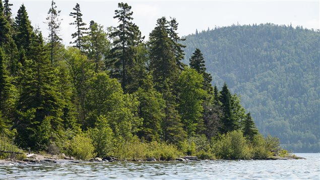 This photo of Powder Island in Ontario illustrates a typical Canadian landscape.