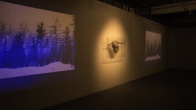 Reserve(d), 2010 Instalación (impresión fotográfica sobre plexiglás con proyección de video)