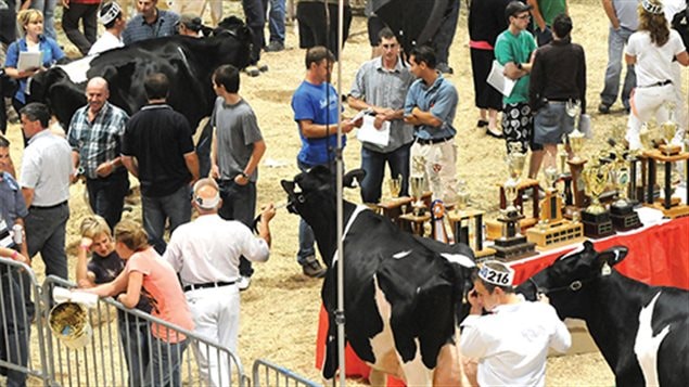  rci-expo2