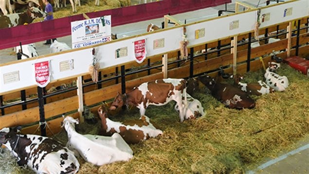 rci-expo-st-hyac